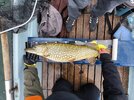 IMG_20250419_195602.jpg