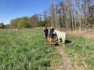 IMG_1187.jpeg