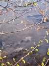 IMG_20250421_103220~2.jpg