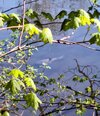 IMG_20250421_103123~2.jpg