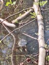 IMG_20250421_104110~2.jpg