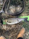 IMG_8819.jpeg
