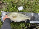 IMG_5381.jpeg