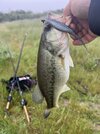 IMG_5367.jpeg
