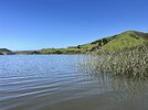 IMG_5385.jpeg