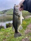 IMG_5231.jpeg