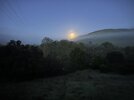 IMG_5294.jpeg