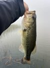 IMG_5295.jpeg