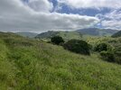 IMG_5342.jpeg