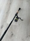 IMG_6031.jpeg