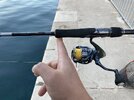IMG_7589.jpeg