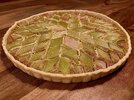 IMG_2125.jpeg