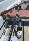 IMG_8817.jpeg
