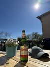 IMG_2533.jpeg