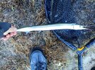 IMG_20250427_082958_125 (1).jpg