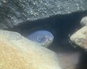 DSC03590a.JPG