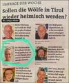 Wolf in Tirol.JPG