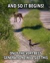 IMG_0487.jpeg