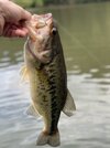 IMG_9492.jpeg