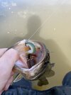IMG_9484.jpeg