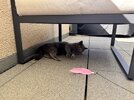 IMG_1102.jpeg