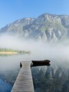 IMG_3352.jpeg