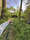 IMG_4663.jpeg
