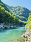 IMG_3305.jpeg