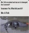 IMG_5185.jpeg