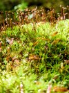 IMG_20250501_112805~3.jpg