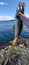 IMG20250504155955.jpg