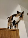 IMG_20250505_215218.jpg