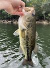 IMG_9566.jpeg