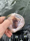 IMG_9563.jpeg