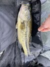 IMG_9569.jpeg