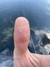 IMG_9562.jpeg