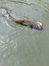 IMG_9548.jpeg