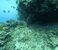 IMG_1564.gif