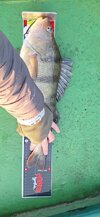 20250507_060813.jpg