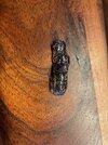 IMG_8923.jpeg