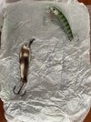 IMG_8916.jpeg