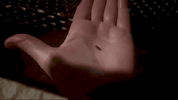 IMG_1565.gif