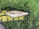 IMG_7173.jpeg