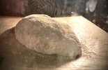 IMG_7560.jpeg