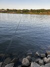 IMG_5235.jpeg