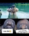 FB_IMG_1746857475697.jpg