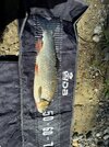 IMG_2343.jpeg