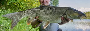 IMG_7536.jpeg