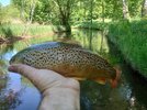 DSC_8566.JPG