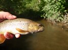 DSC_8569.JPG